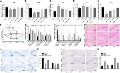 Geniposide Alleviates Oxidative Stress of Mice With Depression-Like Behaviors by Upregulating Six3os1